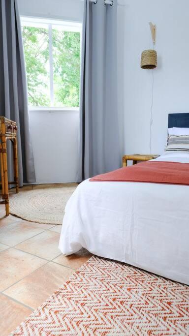 Coastal In Tamarin, Ac, Wi-fi, Walk To Everything In Holiday home Tamarin